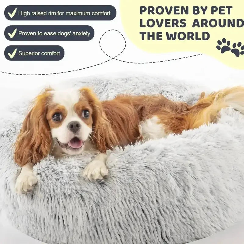 SummerVibes Calming Pet Bed