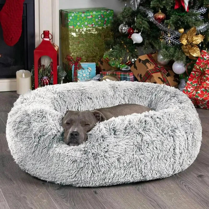 SummerVibes Calming Pet Bed